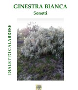 Filippo Falbo <br />GINESTRA BIANCA<br />Sonetti<br />978-88-6674-345-3